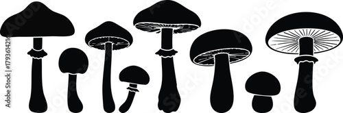 Black silhouette set of various mushroom shapes vector design in simple style 