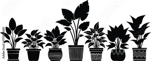 Houseplants in Various Pots Silhouettes Vector Illustration with Different Leaf Shapes and Sizes for Indoor Gardening Decoration 