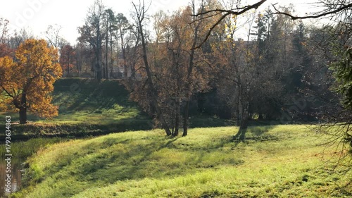 Panorama of landscape Pavlovsk Park on autumn day, suburb of St. Petersburg, Russia