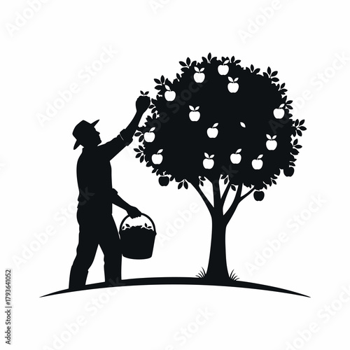 vector silhouette of a farmer harvesting apples