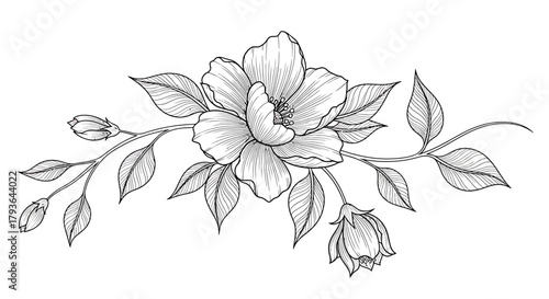 Illustration of elegant floral branch with blooming flower and leaves, black and white sketch