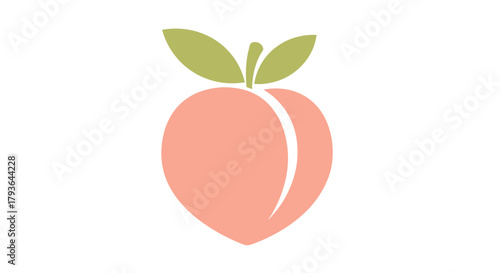 Illustration of a simple illustration of a peach