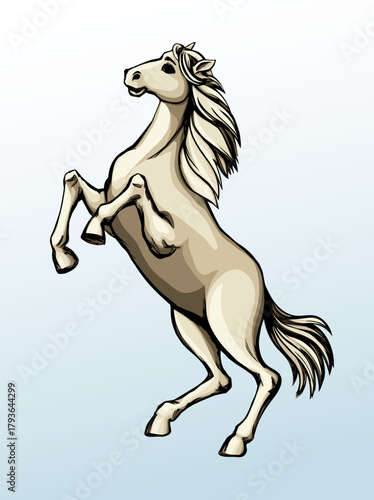 Vector drawing. Man on the horse