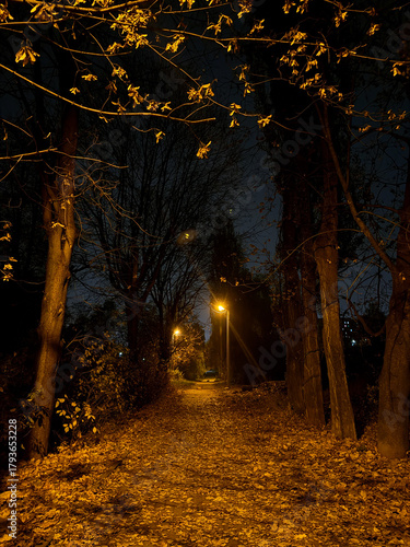 Serene autumn walk, nighttime alley bathed in amber, quiet street illuminated by warm streetlight glow