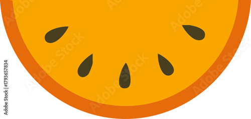 Bright orange fruit slice with seed detail in simple flat style