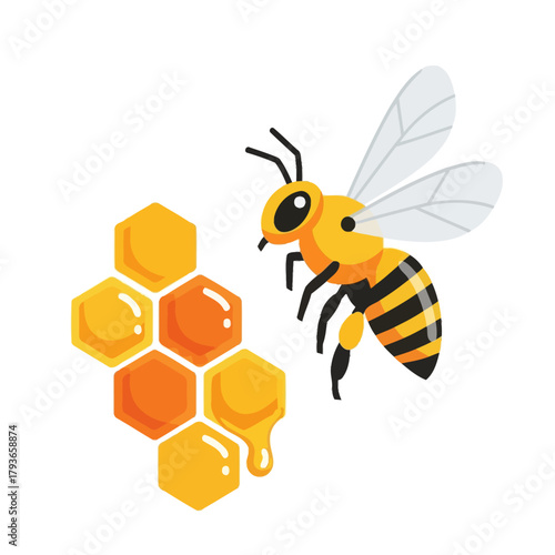 Honey bee collecting nectar on honeycomb