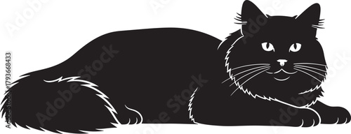 Detailed black fluffy cat silhouette illustration with prominent whiskers and furry texture, gracefully lying down and looking directly forward, isolated vector graphic element.