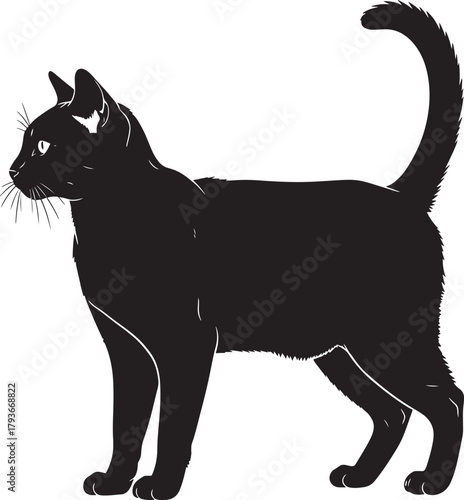 Black cat silhouette vector illustration, standing gracefully in profile view with prominent whiskers and a distinct curled tail, an elegant domestic pet animal graphic design asset.