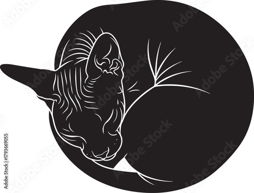 Sleeping sphynx cat curled up in a serene, minimalist black and white line art illustration, showcasing its unique hairless features and peaceful repose, isolated for various design applications.