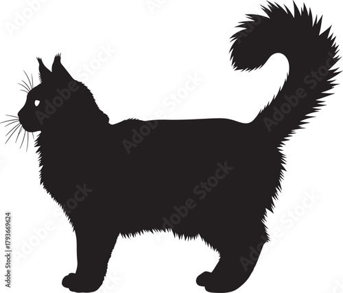 Maine coon cat silhouette vector illustration. elegant black feline standing side profile with detailed fluffy fur and tail. domestic animal pet graphic element.