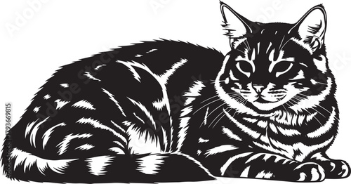 Stylized black and white illustration of a domestic tabby cat resting, looking forward, depicted in graphic art style, isolated on a clean, transparent background.