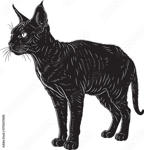 Stylized illustration of an elegant black cat with prominent ears and sleek lines, standing gracefully on a clean background, embodying feline mystique.