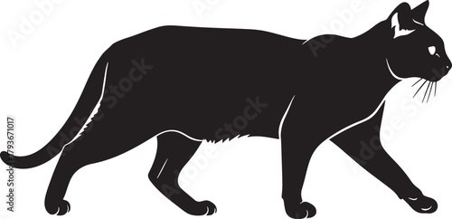 Black domestic cat silhouette walking sideways, elegant feline profile, minimalist pet illustration, simple animal graphic, sleek kitty vector, isolated on white