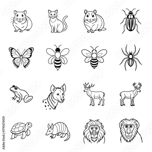 Collection of Line Art Animals and Insects for Design Projects