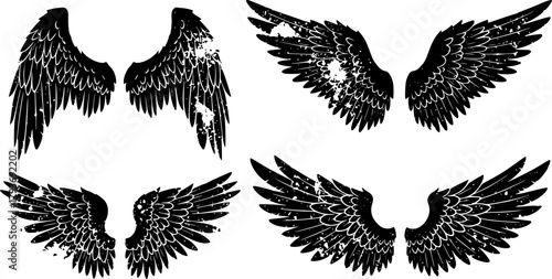 Collection of black grunge angel wings and feather textures