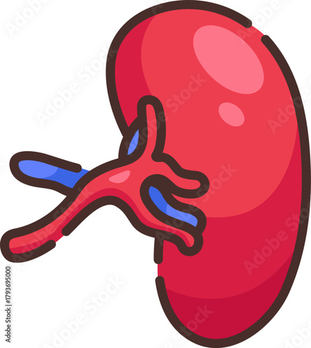 Illustration of a single human kidney with renal artery and vein, symbolizing urinary system, filtration, and healthcare anatomy study