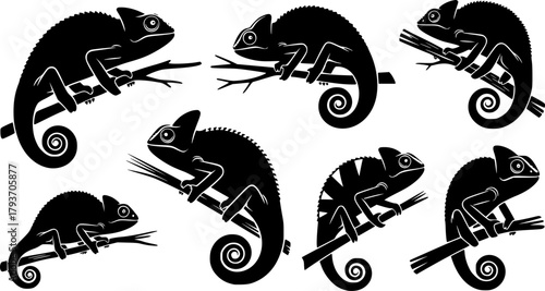 Chameleon silhouettes, Chameleon vector illustration, Chameleon, Chameleon animal icon, Chameleon silhouette set