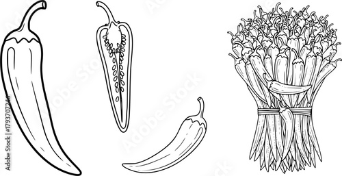 Chili pepper outline, Chili outline, Chili pepper, Chili pepper clipart, Chili pepper silhouette, Chili icon, Chili, Hot chili, Hot pepper, Half chili, Chili outline bundle