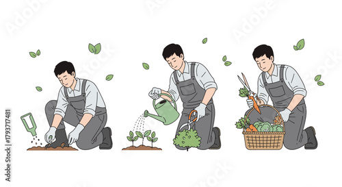 Gardening Process Illustration - Planting, Watering, and Harvesting Vegetables.