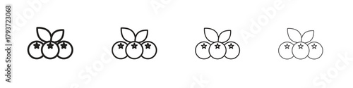 Blueberry icon design elements. Outline icon with editable stroke. Vector