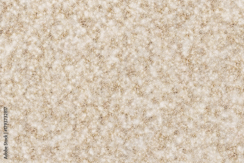 冬の芝の背景素材