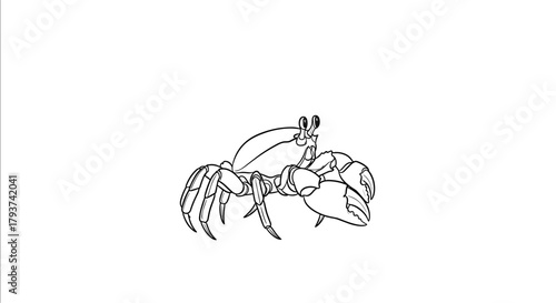 Illustration of a crab with detailed line work in black and white