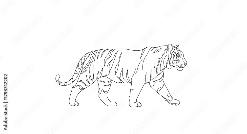 Naklejka premium Illustration of a tiger walking with detailed line art and stripes
