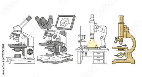 Illustration of four different types of microscopes in a row view