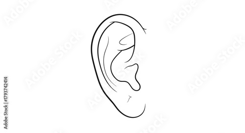 Illustration of a human ear showing the anatomical structure lineart