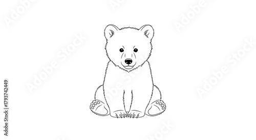 Illustration of a cute bear cub sitting upright with a friendly face