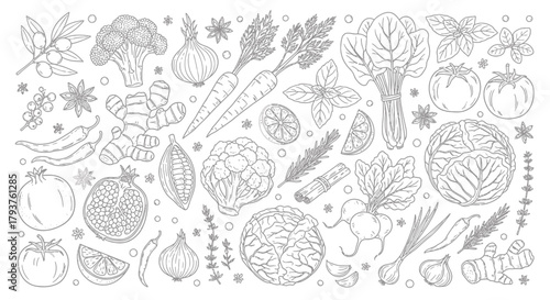 Illustration of assortment of fresh vegetables and spices