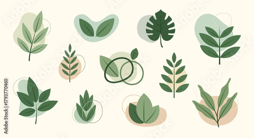 Set of Flat Botanical Leaf Elements and Organic Shapes. Modern Greenery Collection in Scandinavian Style.