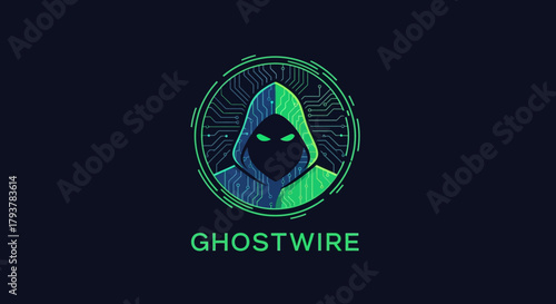 Digital Guardian of the Web An Abstract Illustration Symbolizing Cybersecurity, Anonymous Protection, and the Enigmatic World of Online Data Networks