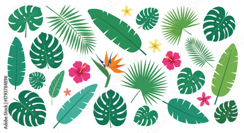Colorful tropical leaves and flowers collection