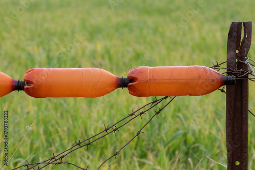 Fence made of old plastic bottles.Homemade fence from horses in the field.