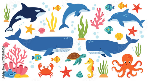 Colorful underwater sea life with whales, dolphins, and coral reef creatures illustration