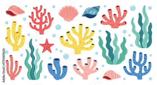 Colorful coral reef elements including corals, shells, and seaweed