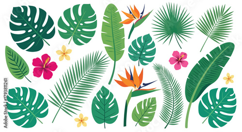 Assorted tropical leaves and flowers set