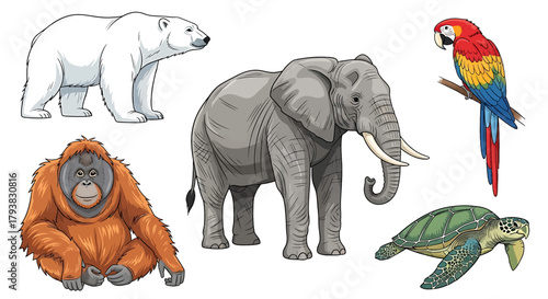 A collection of detailed illustrations featuring various wild animals including a polar bear, elephant, macaw, orangutan, and sea turtle.