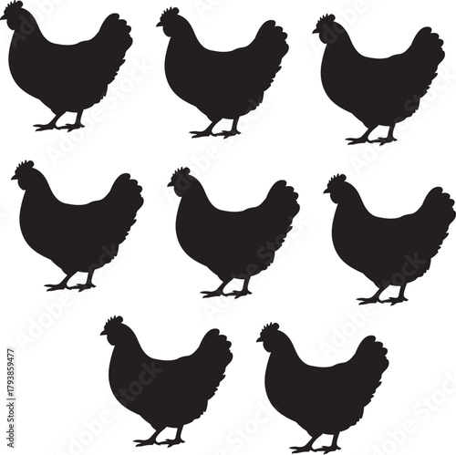 Black silhouettes of chickens arranged in rows on a white background fowl poultry