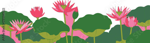 Pink water lilies and green lily pads on white background water lily lotus