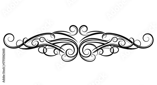 Elegant black ornamental flourish with swirls and curves.