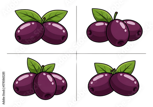 Four illustrations of purple olives with green leaves