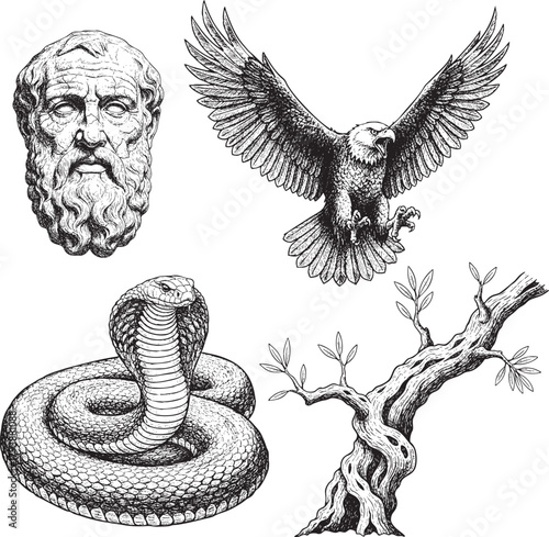 Ancient Greek Mythology Symbols A Philosophical Head, Majestic Eagle, Coiled Cobra, and Gnarled Olive Tree