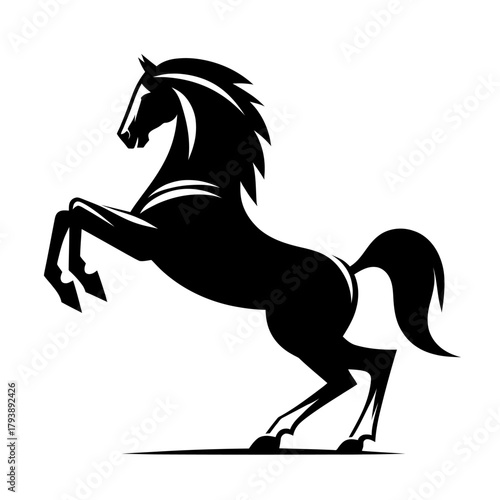 A black stallion horse full b...