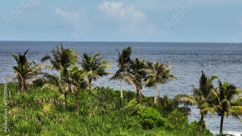 Wallpaper Mural Palm trees growing above dense green vegetation near the ocean coastline, view from above. Siargao, Philippines. Torontodigital.ca