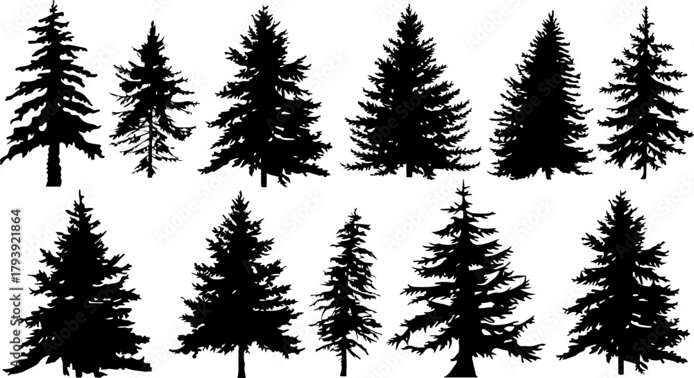 Fototapeta premium Tree Silhouettes Pine