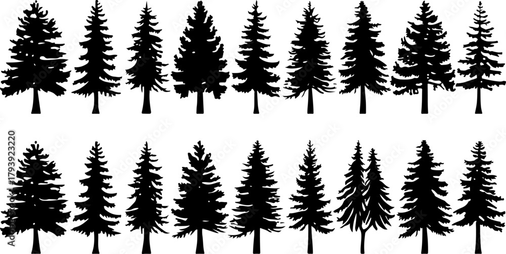 Obraz premium Tree Silhouettes Pine