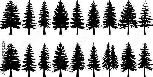 Tree Silhouettes Pine