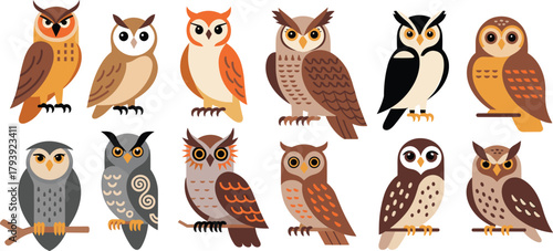 Cartoon owl illustrations, colorful owl species, flat design birds, educational animal graphics, wildlife diversity, decorative avian artwork, vector icons
